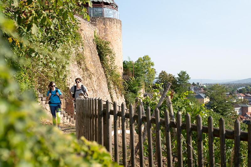 Landhotel Kauzenberg Bad Kreuznach Ngoại thất bức ảnh